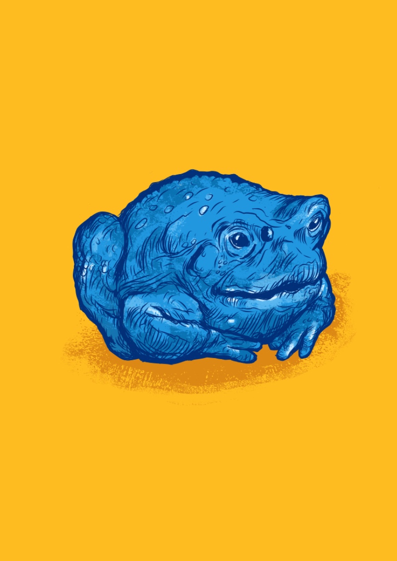 This little guy was a fun sketch I created in Adobe Fresco as I was experimenting with color schemes.